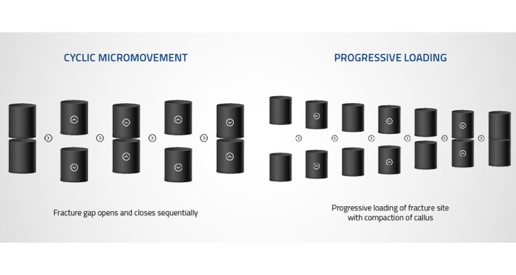 , The Concept of Dynamization