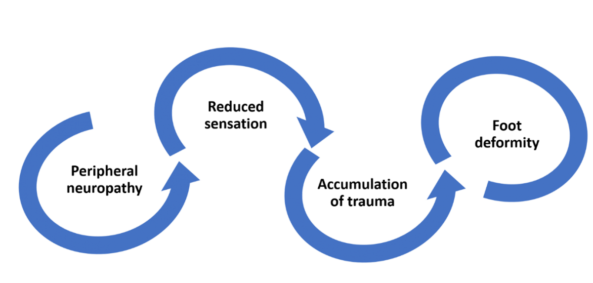 Charcot Foot and Ankle Causes Orthofix